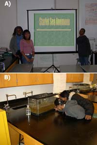 Students at Odyssey High School